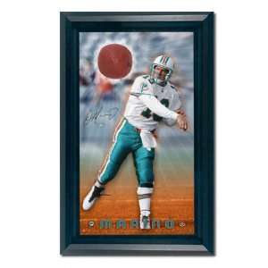 Dan Marino Miami Dolphins Framed Autographed Breaking Through Display 