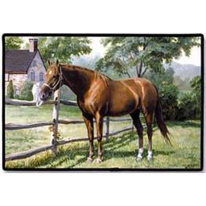  Lady Doormat (Horse) 