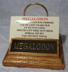 MEGALODON SHARK TOOTH STAND GOLD ENGRAVED PLAQUE 4  