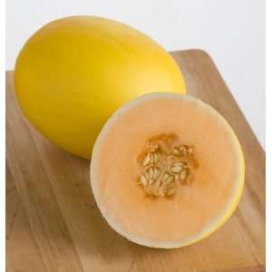 Davids Melon Honey Yellow 20 Seeds per Packet Patio 