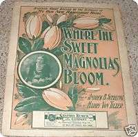 Where the Sweet Magnolias Bloom 1899 Sterling VonTilzer  