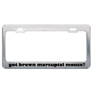 Got Brown Marsupial Mouse? Animals Pets Metal License Plate Frame 