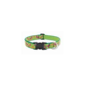  Lupine 1 Adjustable Dog Collar 12 20 Meadow Pattern 