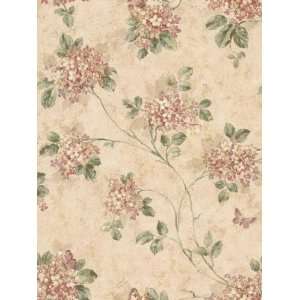  Wallpaper Steves Color Collection Pastel BC1580313
