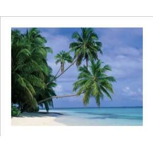  Maldives Palm Trees over Water Color Photography Poster 