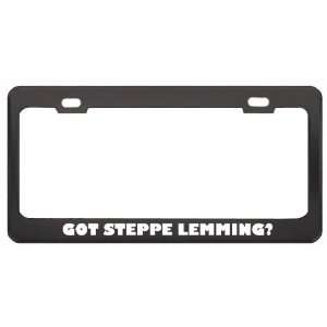  Got Steppe Lemming? Animals Pets Black Metal License Plate 