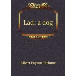  Lad a dog Albert Payson Terhune Books