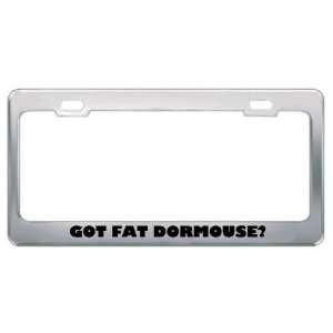 Got Fat Dormouse? Animals Pets Metal License Plate Frame Holder Border 