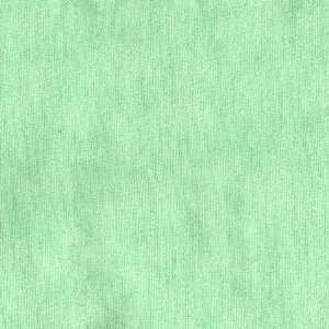   Flannel Quilters Suede Mint Fabric By The Yard Arts, Crafts & Sewing