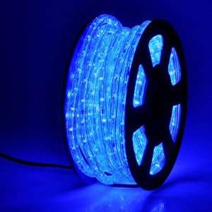 100 Blue LED Rope Light In/Outdoor Christmas Decorative Home Lighting 