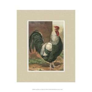  Cassells Roosters with Mat IV by Cassell 10x13