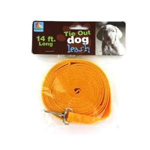  Dog tie out leash