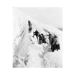  Group of men and women climbing Paradise Glacier in Mt 