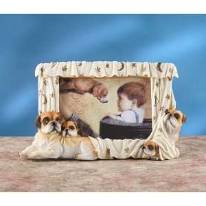  Boxer Picture Frame 5948