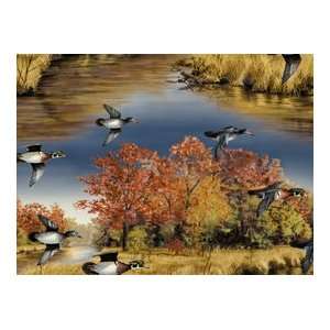 By the Yard Boundary Waters Hautman Quilt Cotton Fabric  