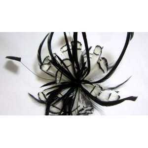  Large Black and White Feather Hair Clip Beauty