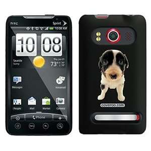  Australian Shepherd Puppy on HTC Evo 4G Case  Players 