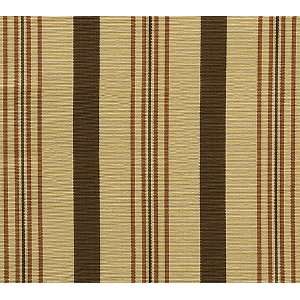  1764 Biscotti in Nutmeg by Pindler Fabric