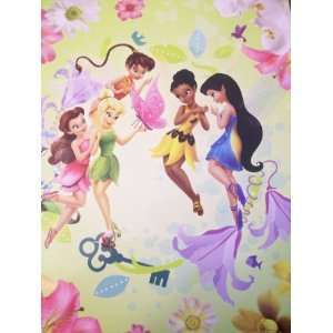  Disney Fairies Folder ~ Circle of Friends