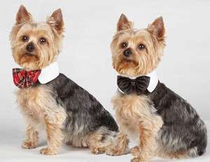   Canine Royal Bowtie Black Tartan Plaid Small Medium Bow Tie Collar NEW