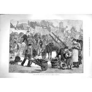  1880 IRELAND TURF MARKET STREET SCENE HORSES CARTS