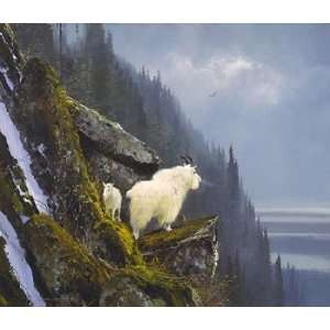  Rugged Heights   Mountain Goat Family Giclee on Paper
