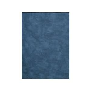   10 X 24 Executive Blue Hand painted Muslin Background
