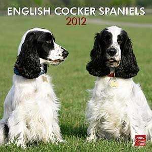  2012 English Cocker Spaniels Calendar