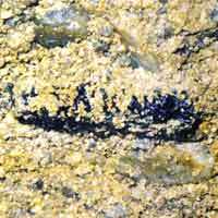 Natural Leafy Moldavite Tektite #8481  