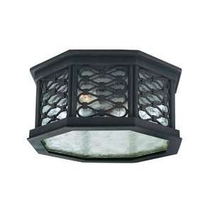 Los Olivos Collection 13 Wide Outdoor Ceiling Light