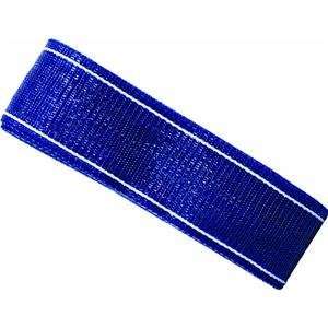 Thermwell Prods. Co. PW39B 39 Blue Webbing Patio, Lawn 