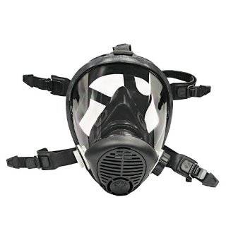   Air Systems 3800 30 Economy 1 Man Full Face Mask System Automotive