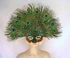 peacock headpiece  