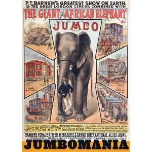  Jumbomania (Eakins Press Pocket Albums) (9780871300638 