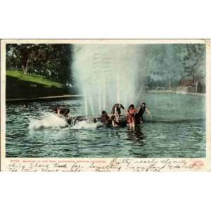 Reprint Glenwood Springs CO   Bathing in the Pool 1900 1909  