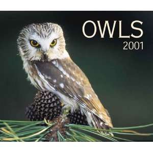  Owls 2001 (9781552970041) Firefly Books Books