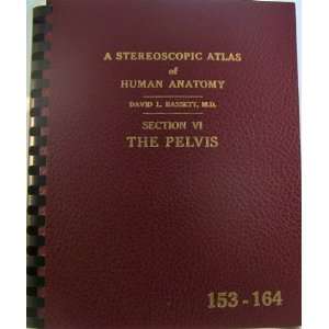   VI, The Pelvis, View Master Reels 153 164) David L. Bassett Books