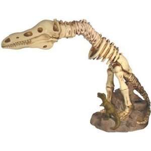  Dinosaur Bone Desk Lamp Light