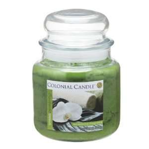  Pack of 4 Spring Awakening Aromatic Jar Candles 15oz