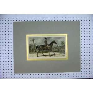  C1880 Man Riding Horse Hunting Country Lane Colour