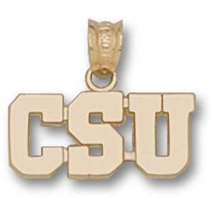 Colorado State University CSU Pendant (14kt)  Sports 