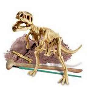  T rex Excavation Kit Toys & Games