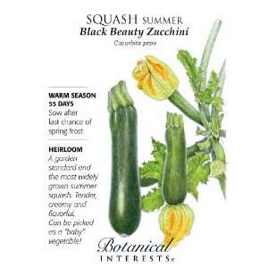  Black Beauty Summer Squash Zucchini Seeds   4 grams Patio 