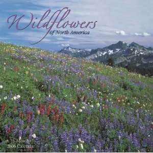  2006 Wildflowers of North America Calendar (12x12 