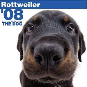  Rottweiler 2008 Square Wall Calendar (German, French 