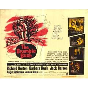 The Bramble Bush Movie Poster (11 x 14 Inches   28cm x 36cm) (1960 
