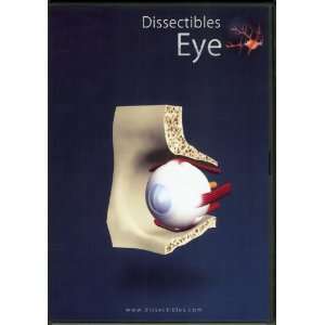  Dissectibles Eye CD ROM Toys & Games