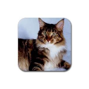  Cat Maine Coon Rubber Square Coaster set (4 pack) Great 