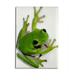  Tree Frog   Cute Rectangle Magnet by  Kitchen 