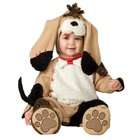   Costumes Precious Puppy Infant / Toddler Costume / Brown   Size Infant